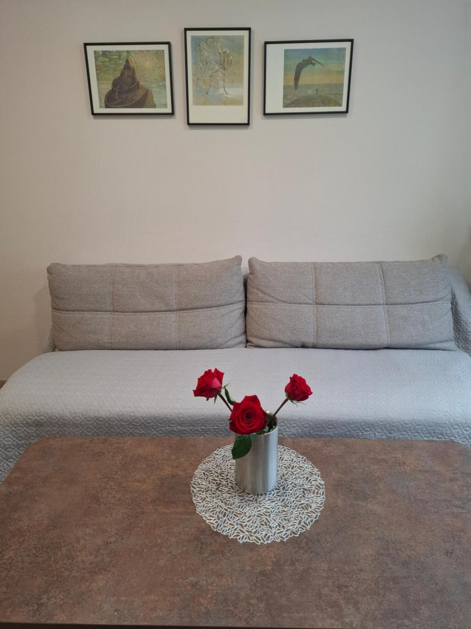 Apartamentai Auris Druskininkai Kültér fotó